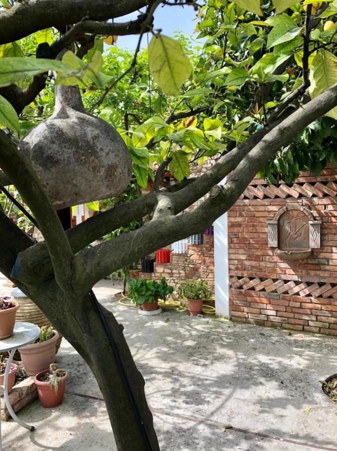 Villa Muzhaqi Nivice Zewnętrze zdjęcie
