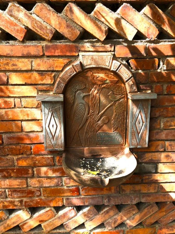Villa Muzhaqi Nivice Zewnętrze zdjęcie