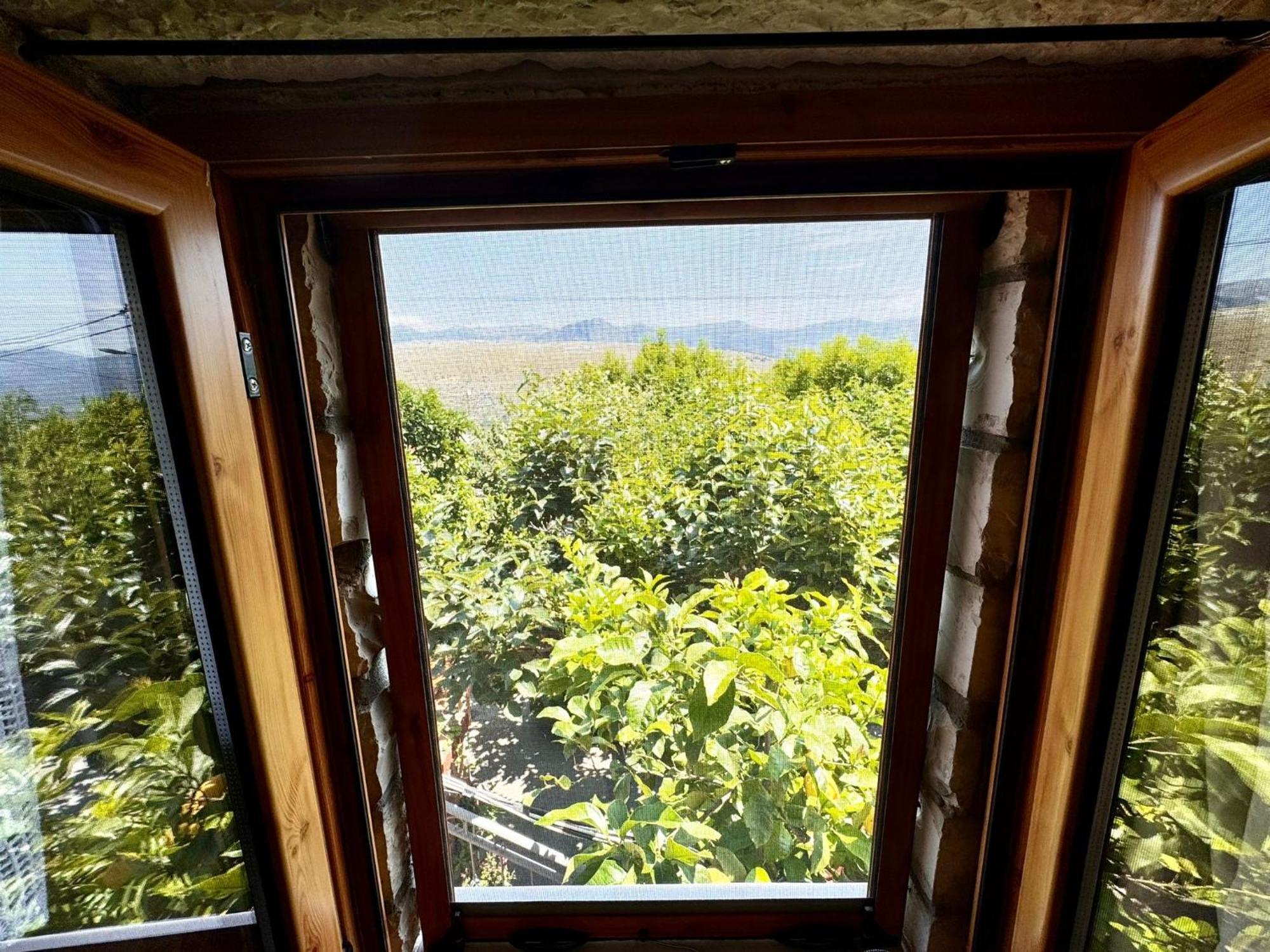Villa Muzhaqi Nivice Zewnętrze zdjęcie